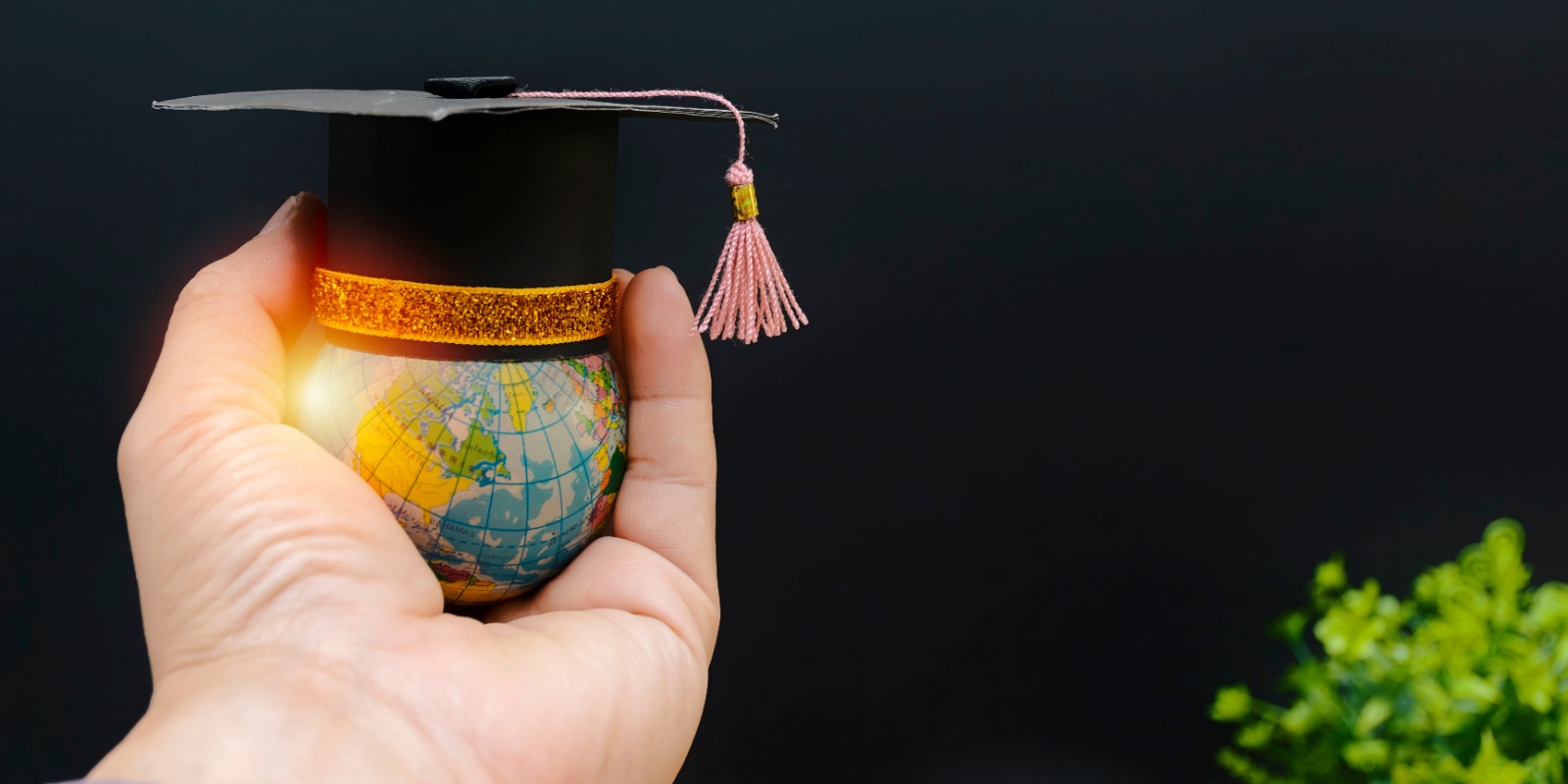 Dia Mundial da Educação: A Interconexão entre Desenvolvimento Integral e Saúde Mental